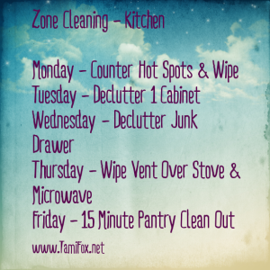 zone-cleaning-kitchen